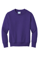 Port & Company PC90Y Youth Core Fleece Crewneck Sweatshirt